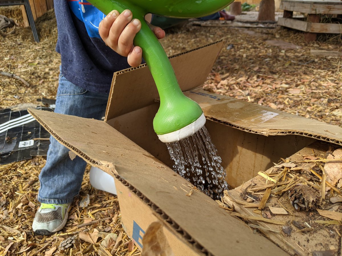 OTLadventures's tweet photo. For a few days now, the children have been caring for imaginary cows.  Their cows need to be fed and watered.  "It's for the cows," They inform me as they busily fill a cardboard box with water and straw. https://t.co/kbrSAfI29V