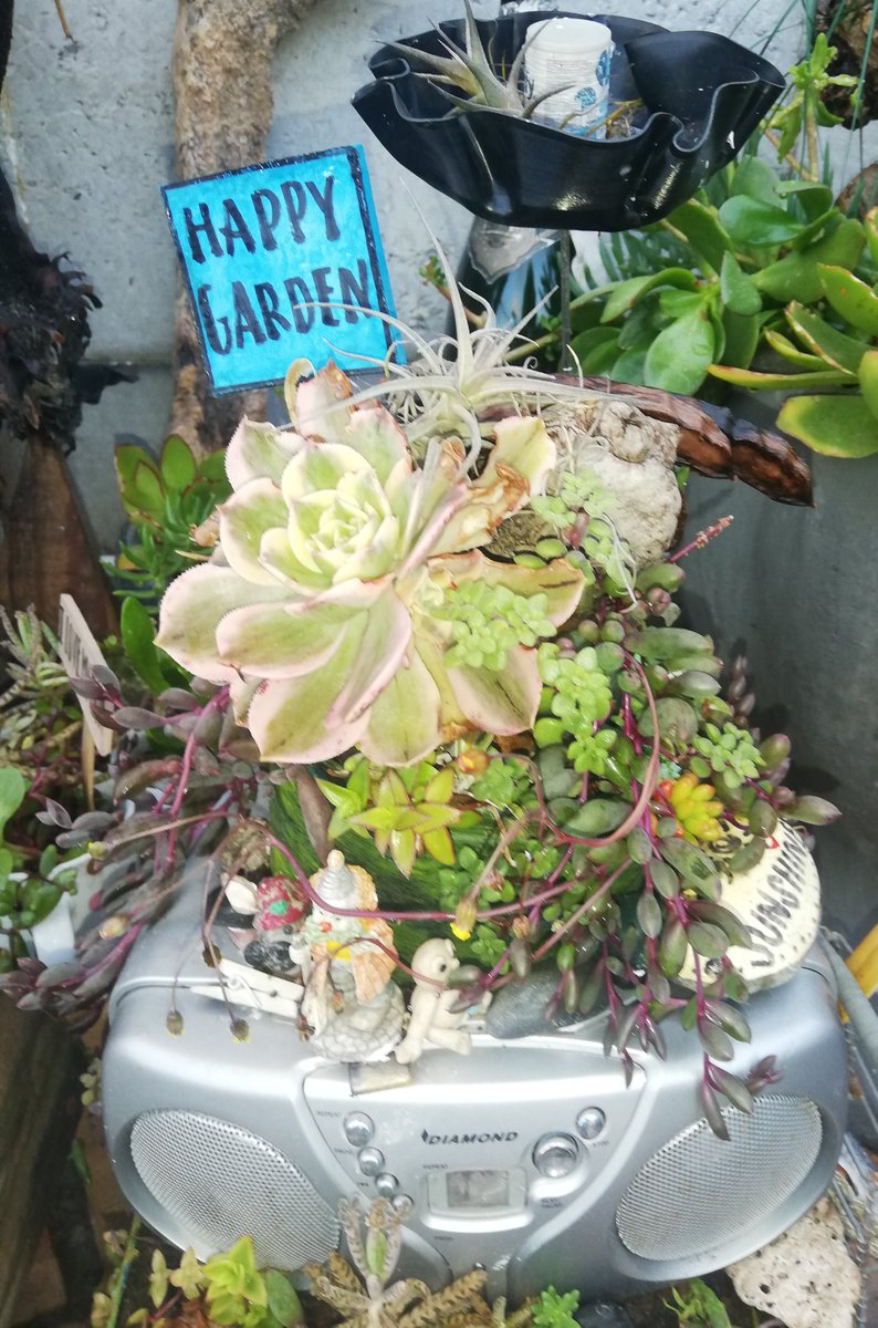 heleenniere's tweet photo. @TOPSatSPAR #Because2020 happened and we were forced to stay home, I  realized I had green fingers. During lockdown I got creative and planted all my broken appliances 😁🙄😁 see photos #upcycle #cdplayer #scanner #typewriter #shoes https://t.co/QazOCNB1Pq