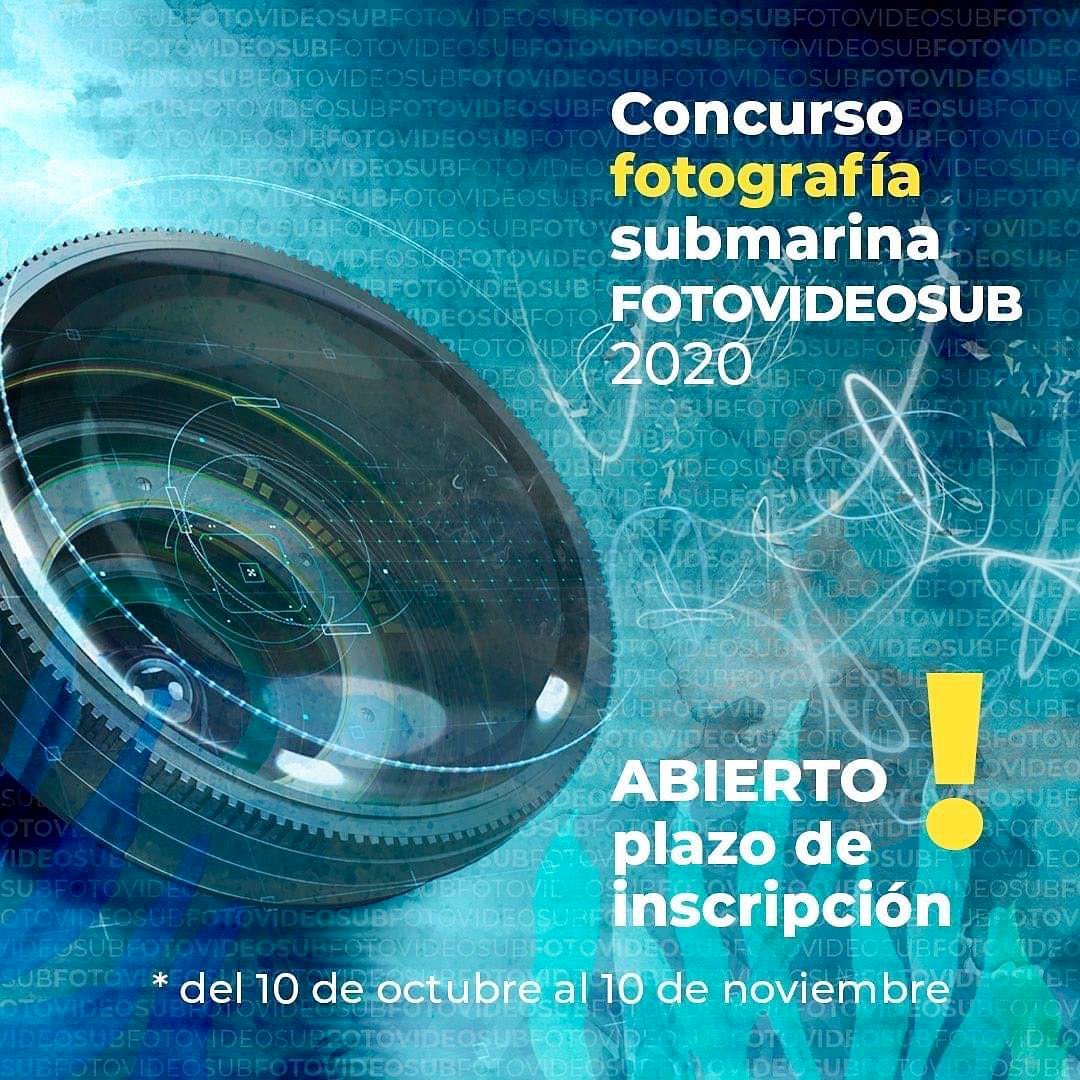 fotovideosub's tweet photo. 📣Últimos días para participar !! 
📢Last days to participate !! 🔊Derniers jours pour participier!! 
👇👇👇👇
🔗 https://t.co/O8mCo8N7ON 
.
#fotografiasubmarina #fotosub #fotovideosub2020 #fotovideosub #underwaterphotography #underwater https://t.co/Nn39Yc2QRu