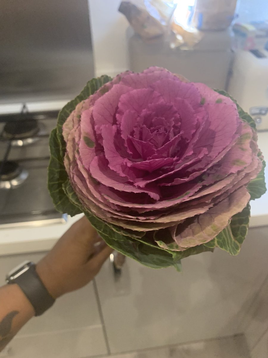 sabb19791's tweet photo. I’ve been asking the other half what he’s done wrong for him to buying me a big bunch of flowers but he won’t admit to anything 😂 I do love them though 🥰🥰 https://t.co/b5Zkb7jEcH