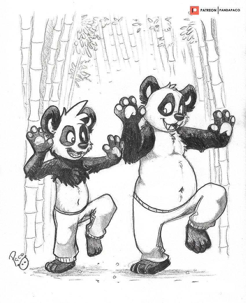 panda_paco's tweet image. Everyone knows that pandas can Kung Fu. Right?
We're @pandocula and I training together on the bamboo forest.

Traditional sketch. Pencils.