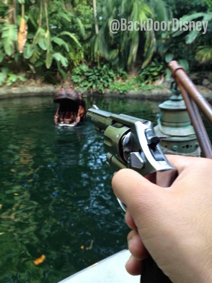 BackDoorDisney's tweet photo. “Don’t point your gun or shoot at the hippos” https://t.co/bRH9STZwDG
