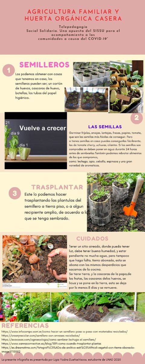 Servicio Social Unadista tweet media