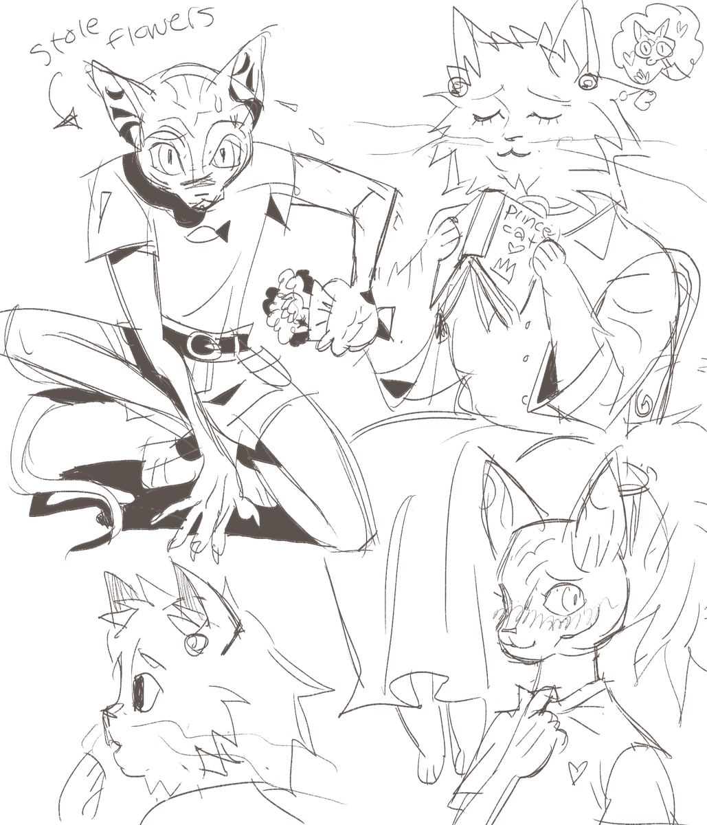 thought my acc was lacking catgirl lesbians heres some of those 
