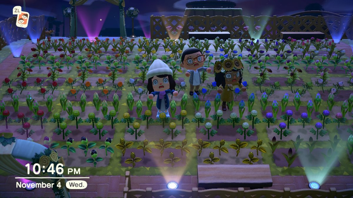 DaniACbb's tweet photo. #AnimalCrossing #ACNH #NintendoSwitch https://t.co/KES34l3P0t