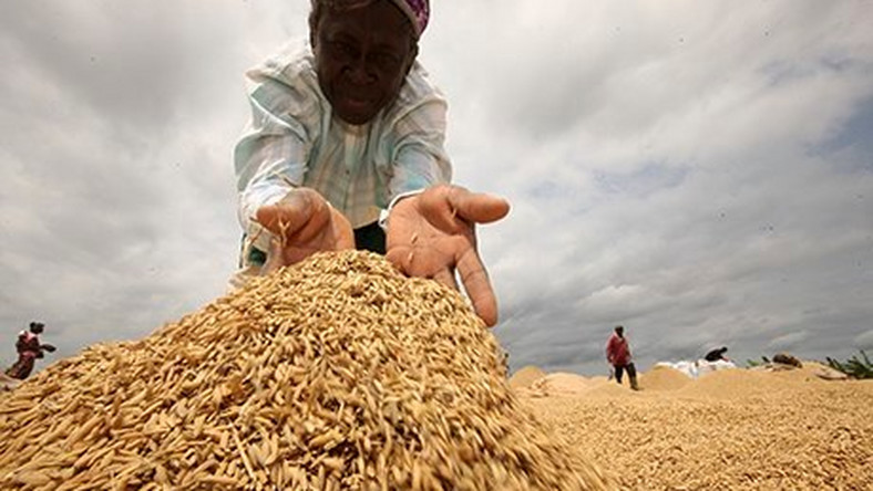 WamiAgro tweet media