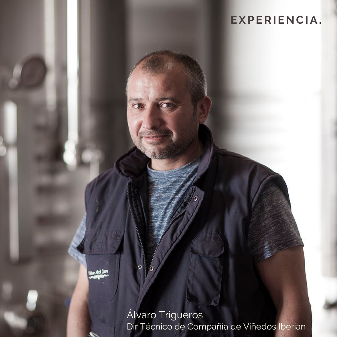 VinosIberian's tweet photo. Después de la #vendimia, comienza la labor de análisis y control de los vinos. Contamos con un equipo técnico que suma decenas de vendimias a sus espaldas. Aquí os presentamos a Álvaro Trigueros, Director Técnico de  Compañía de Viñedos Iberian. 
#Sembro #Jaros #Chafandín https://t.co/xWaYnpRLZ7