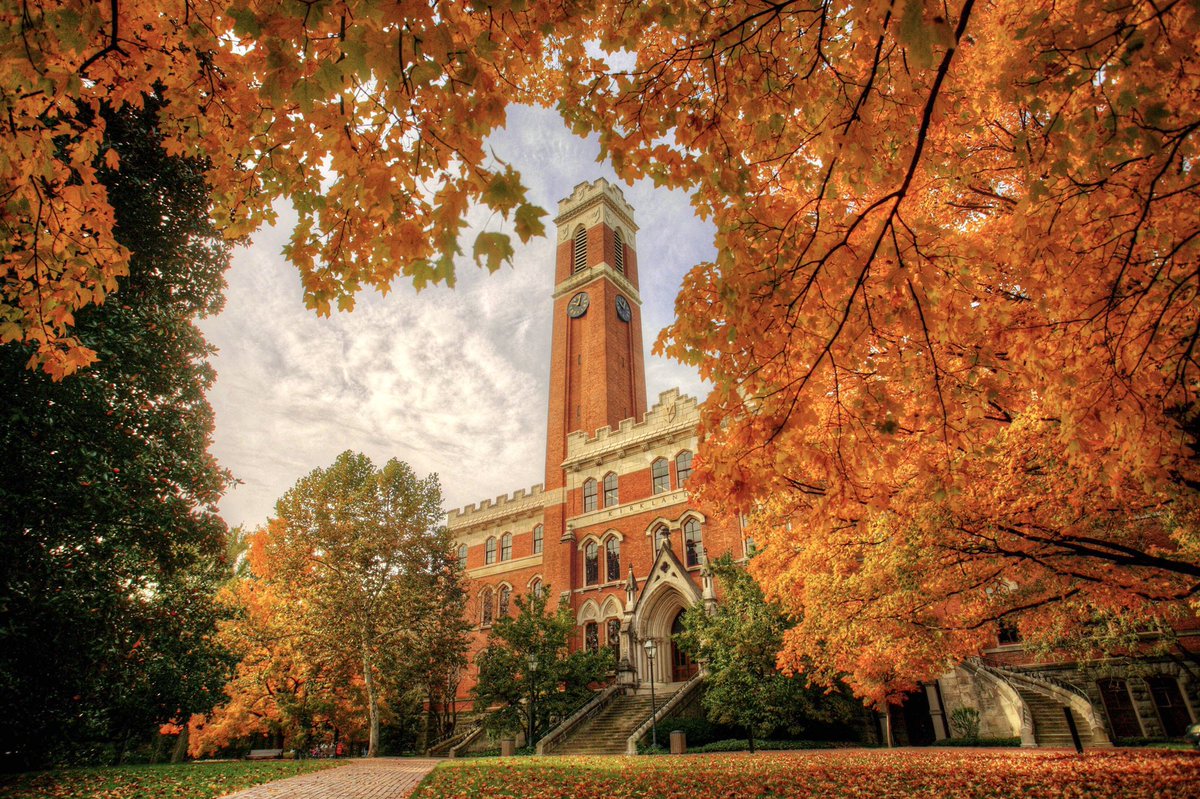 Amazing Colleges tweet media
