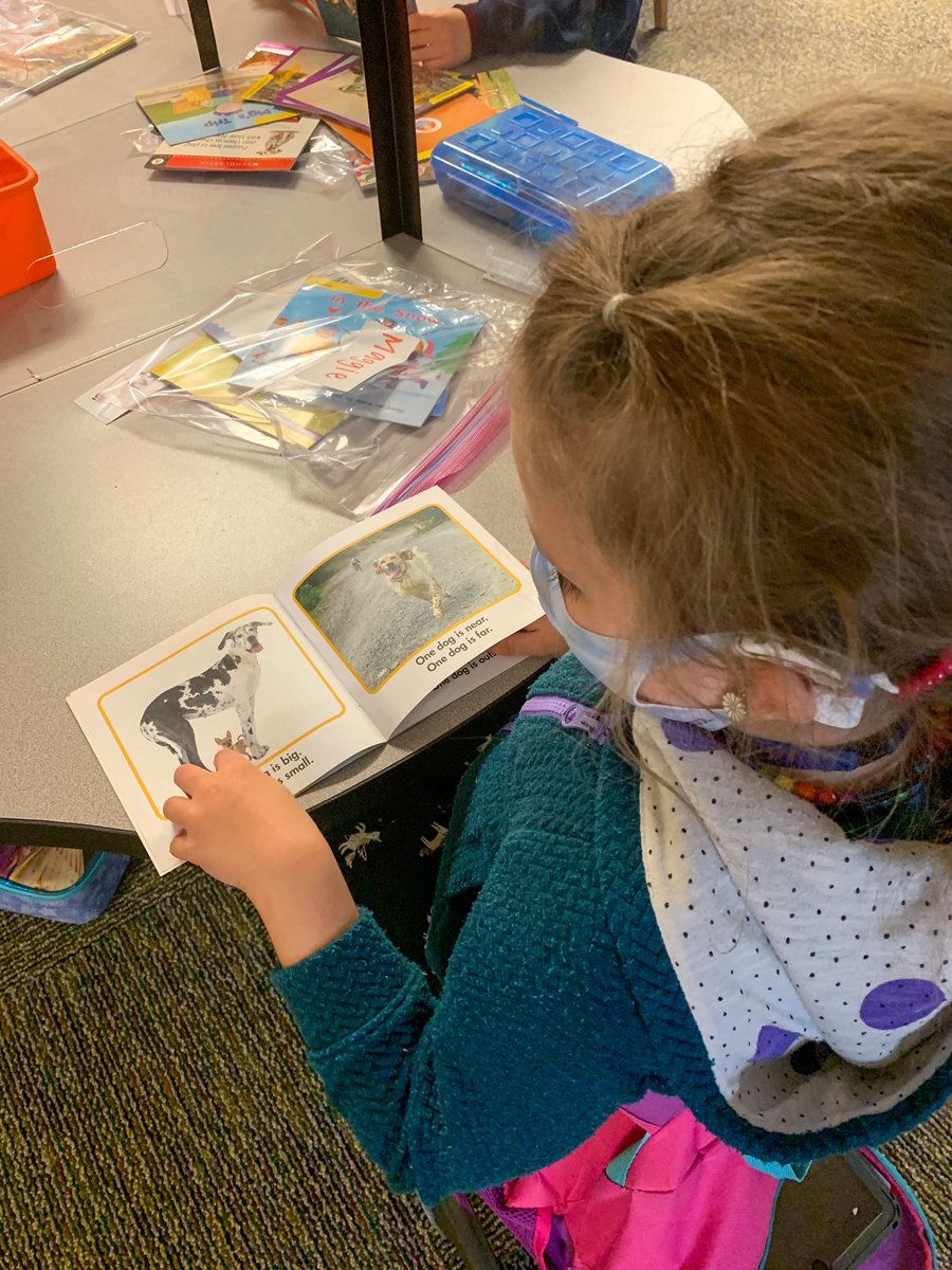 Mrs_Seidel0's tweet photo. We’re so excited to start learning our reading powers soon! 🦸 We’ve been spending some time getting to know these new books by looking at the covers, going on picture walks, and thinking about what words we might see! #PHLearns #ParkHillProud https://t.co/XK5Hymb25V