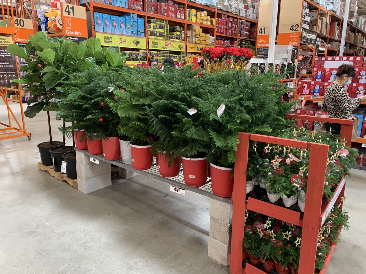 Willycostafarms's tweet photo. 204 is Ready for the Weekend!! https://t.co/vn7BYgvXHK