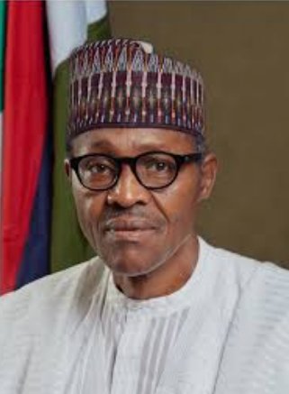 Local_Comedian's tweet photo. Nigerians if una like make una support Trump or Biden, na Buhari go still be una president till 2023. https://t.co/bDEd0FAqHO