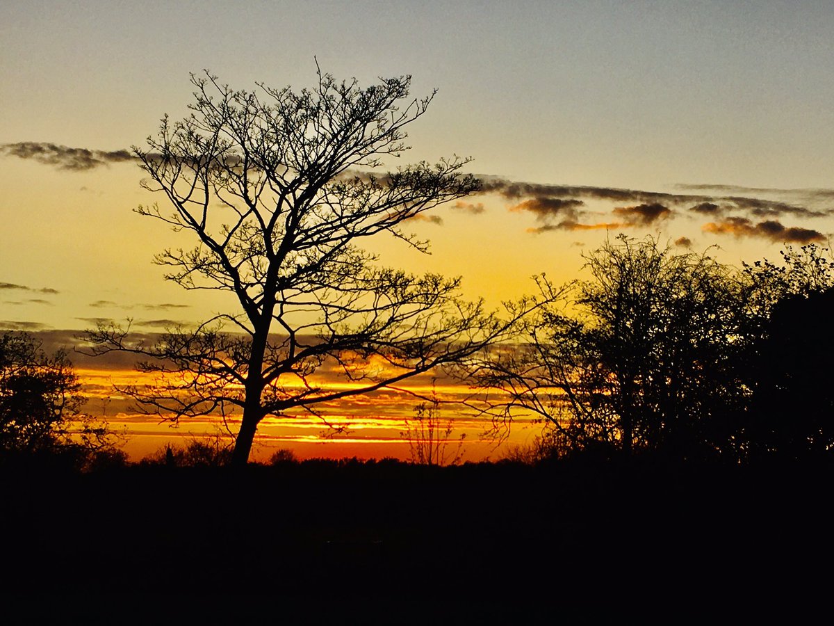 indianlights's tweet photo. @DrTinarae @Sorrell_Dowling Feeling so grateful to live in beautiful Kent and seeing the beautiful Autumnal sunset on my daily walk this evening :) https://t.co/B6vG04Xja5