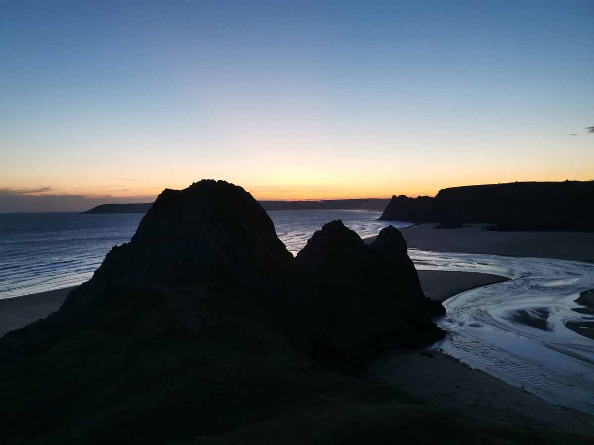 sharon halpin tweet media