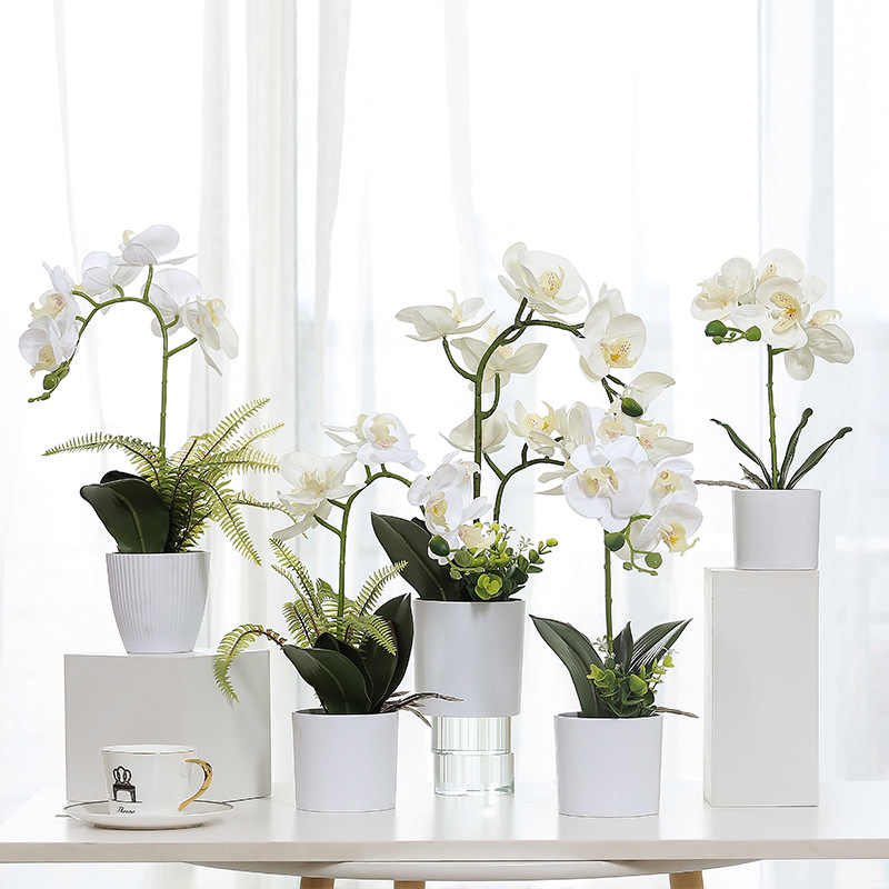 oluRehmy's tweet photo. Nordic Phalaenopsis Artificial Flower.
Price:
Size A: #6000
Size B &amp; C: #9000
Size D &amp; E: #10,000

Please send a DM to order and help RT.
Thank you https://t.co/IawxP8S2U3