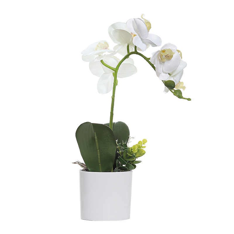 oluRehmy's tweet photo. Nordic Phalaenopsis Artificial Flower.
Price:
Size A: #6000
Size B &amp; C: #9000
Size D &amp; E: #10,000

Please send a DM to order and help RT.
Thank you https://t.co/IawxP8S2U3