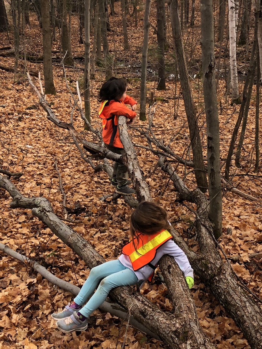 JenPhelan5's tweet photo. Forest Friday’s are good for the heart ❤️ Thank you to @HydroOne  for keeping us safe during hunting season.  @Beachburg_PS @RCDSB https://t.co/Mb3tXV3BZM