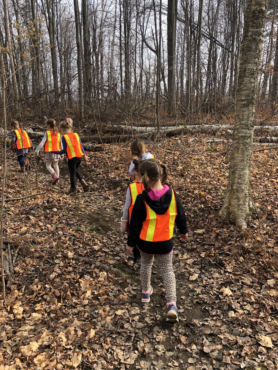 JenPhelan5's tweet photo. Forest Friday’s are good for the heart ❤️ Thank you to @HydroOne  for keeping us safe during hunting season.  @Beachburg_PS @RCDSB https://t.co/Mb3tXV3BZM