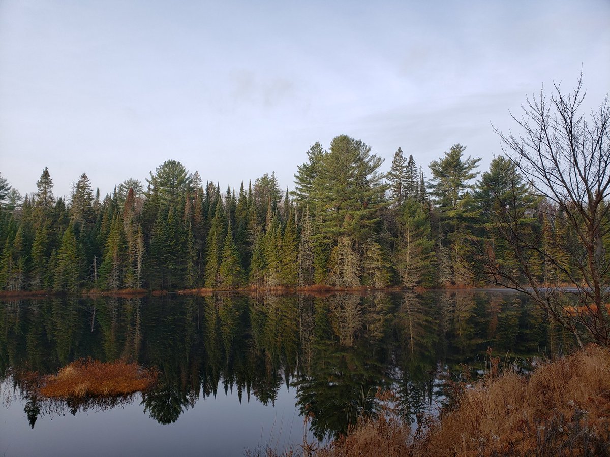 Picture perfect day for a hike at @Algonquin_PP! https://t.co/C0G7TDuveb