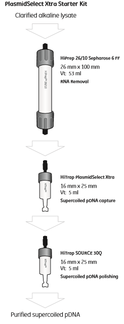 CorriveauAshley's tweet photo. Need to scale up your plasmid production? Perfect, the Plasmid Select Xtra is the chromatography medium used in the selective capture step of a three-step chromatographic process to purify super coiled, covalently closed circular plasmid DNA(scpDNA) #plasmid https://t.co/DZ3RXG1MlR
