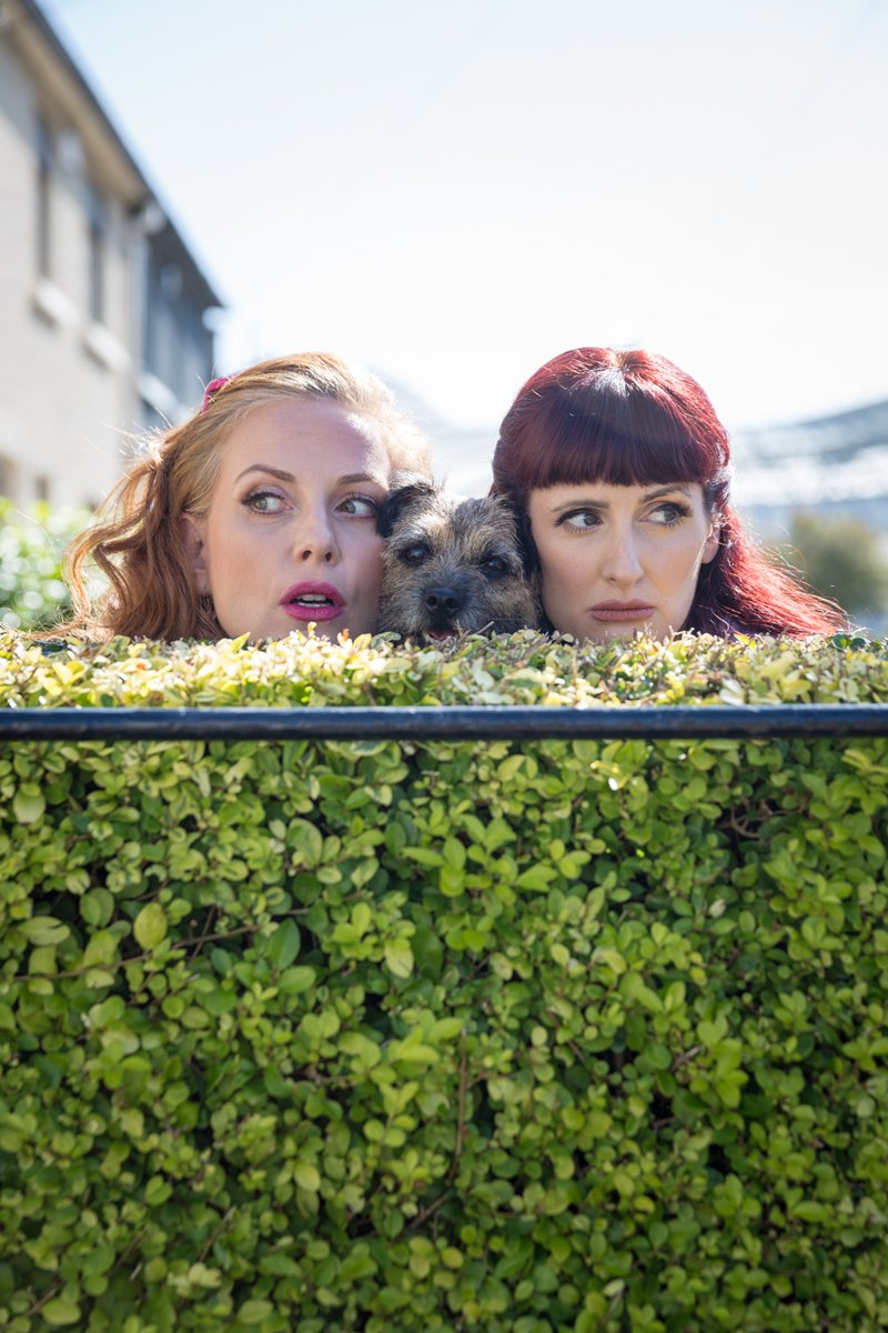 ScreenIreland's tweet image. One small dog, one big problem. Neighbours Susan and Breda are relaxing in their gardens when Breda's dog drives Susan into a murderous rage.

This is @johnbrown___'s Barry, and it's having its World Premiere at the @corkfilmfest Monday. #IrishShorts

🎟️ watch.corkfilmfest.org/corkfilmfest20…