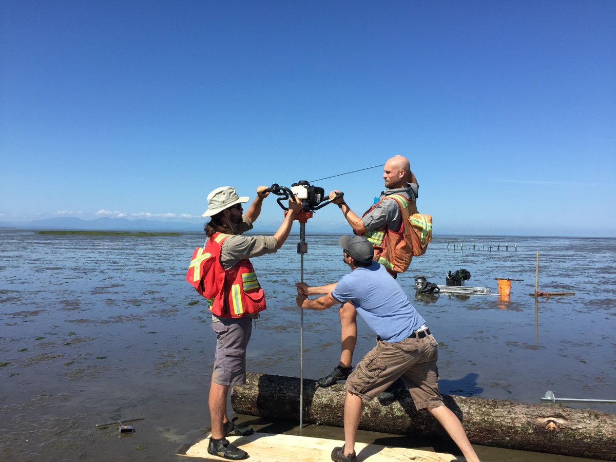 SFUENV's tweet photo. Eric Balke graduated in 2017 as member of our first cohort of MSc Ecological Restoration (ER) students. 

After completing a BSc in biology at #UBC, Eric pursued a MSc in ER to help blend practical field applications with academics.

#SFUenvironment
https://t.co/wHYjDdnp36 https://t.co/Hq2RXf6I14