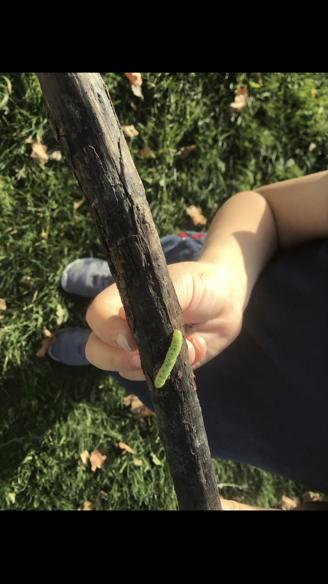 Kinder Room 208 tweet media