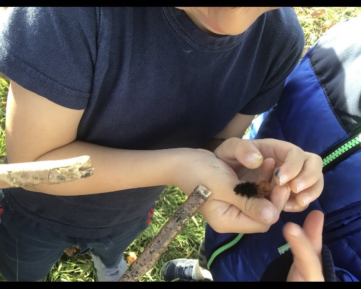 Kinder Room 208 tweet media