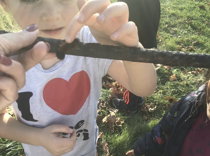 Kinder Room 208 tweet media