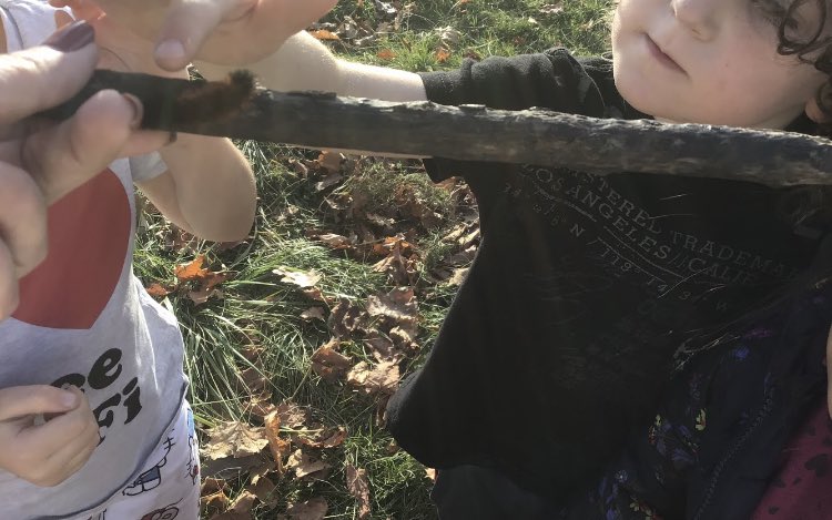 Kinder Room 208 tweet media