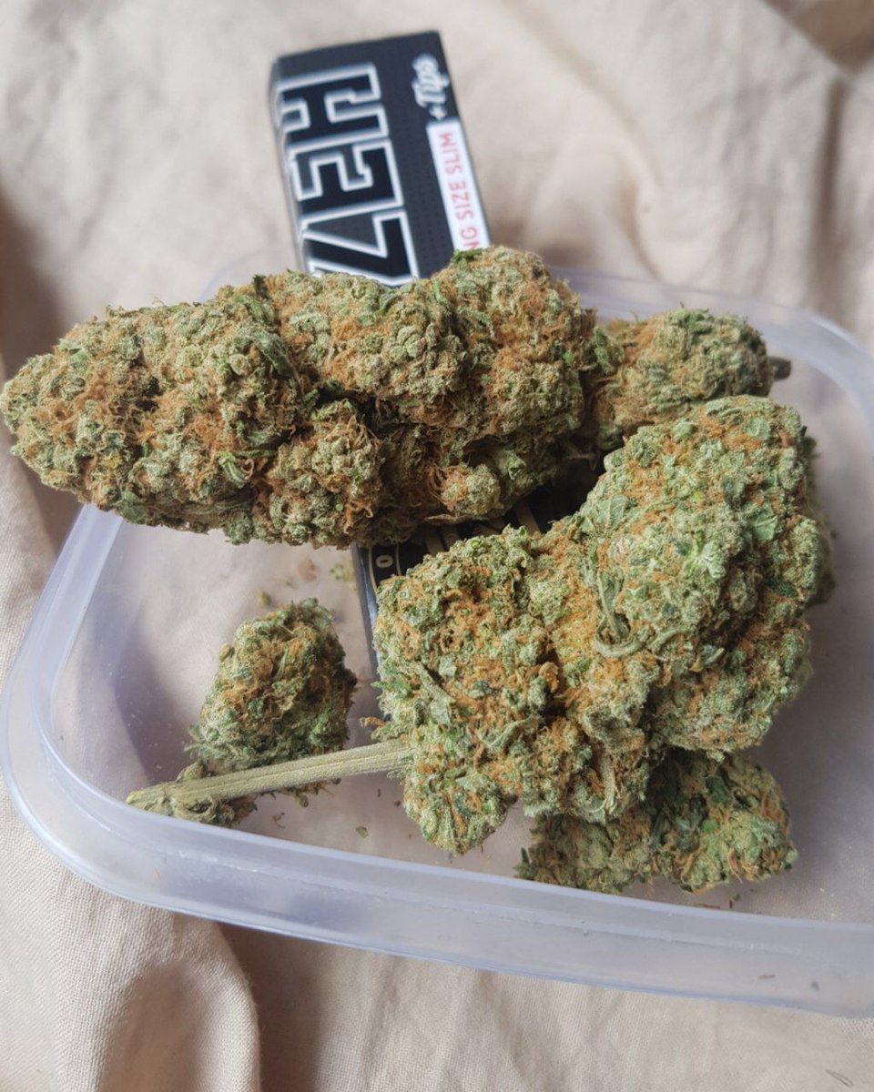 #highlife #hightimes #Highlights #liverpoolweed #granddaddypurp #smokinghigh #WeedLovers #blueberries #weedsmokers