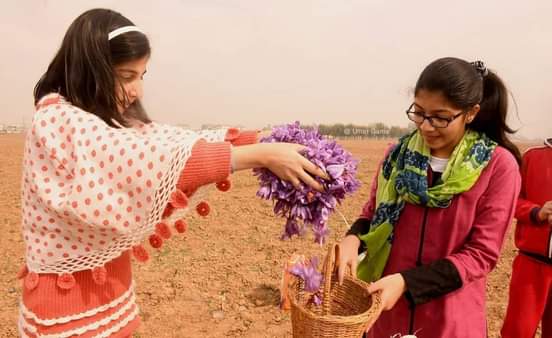 India in Perú (@eoilima) on Twitter photo ¡Kishtwar, Jammu y Pampore, Cachemira son bien conocidos por sus flores violetas que arrojan el azafrán en la tierra celestial de la nieve! ¡Ven y abraza esta belleza antes de que caigan las caídas!
<a href="/incredibleindia/">Incredible!ndia</a>
<a href="/tourismgoi/">Ministry of Tourism</a>
@JandKTurismo
<a href="/TravelersDost/">Travelers Dost</a> ¡Kishtwar, Jammu y Pampore, Cachemira son bien conocidos por sus flores violetas que arrojan el azafrán en la tierra celestial de la nieve! ¡Ven y abraza esta belleza antes de que caigan las caídas!
<a href="/incredibleindia/">Incredible!ndia</a>
<a href="/tourismgoi/">Ministry of Tourism</a>
@JandKTurismo
<a href="/TravelersDost/">Travelers Dost</a>