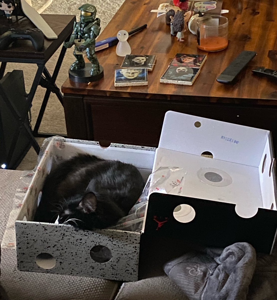 DaSpookyMan's tweet photo. @XboxSupport My cat agrees. #SaveTheBox https://t.co/4lDHYkUN3y