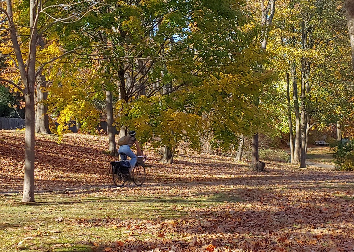 MassBike's tweet photo. Where are you biking on this gorgeous day? Let's see your photos! #Massachusetts @VisitMA https://t.co/g6qET7Acnx