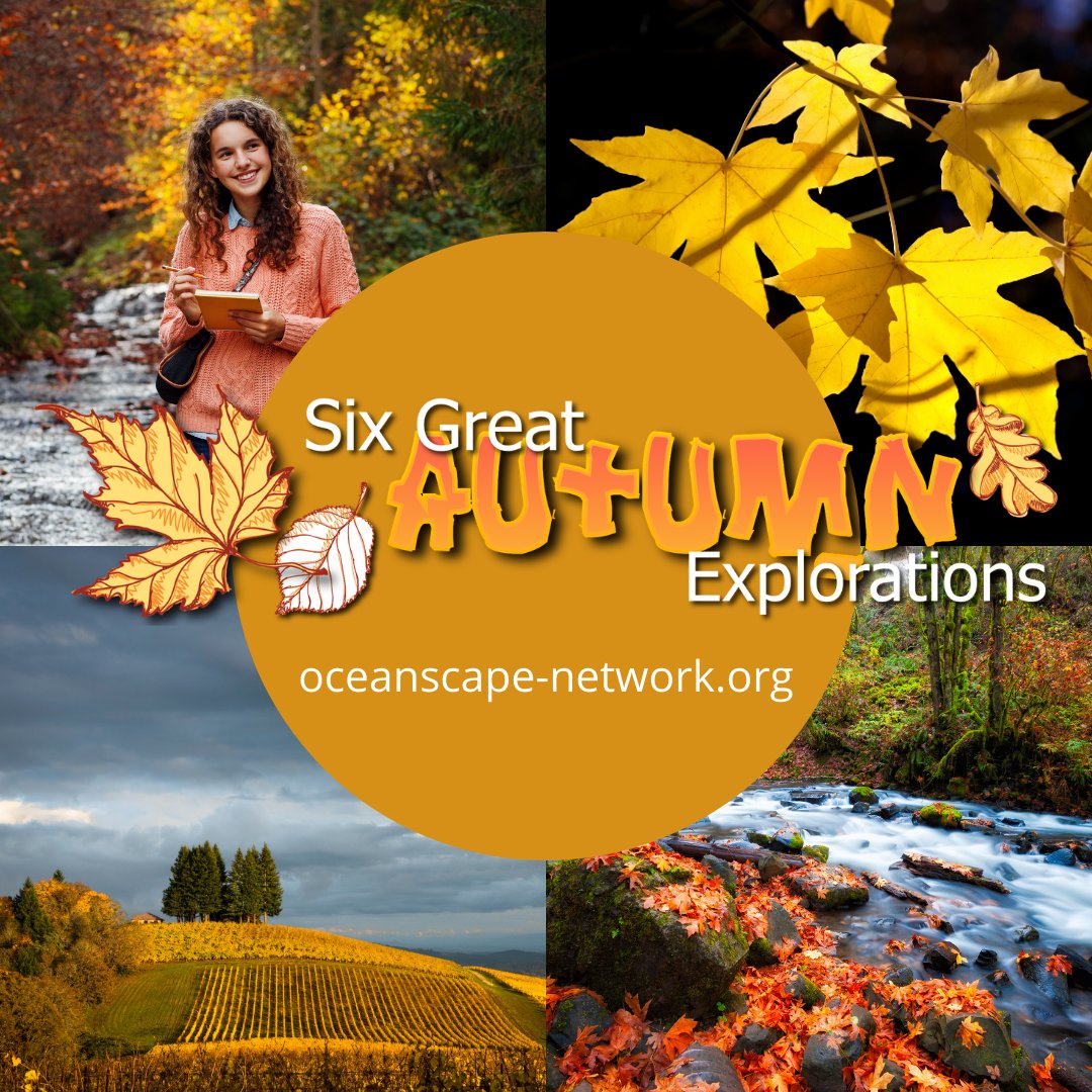 OceanscapeNet's tweet photo. Even in the midst of the pandemic, there are ways to explore safely outdoors. Here are some suggestions of things to do around Oregon during the autumn months which will help relieve the stress of isolation. https://t.co/h9Nu59Xdwq https://t.co/lmnJVstK5A