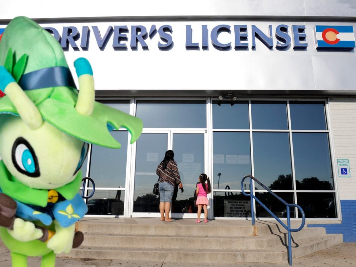 I'm gonna learn to drive because flying everywhere is too much effort