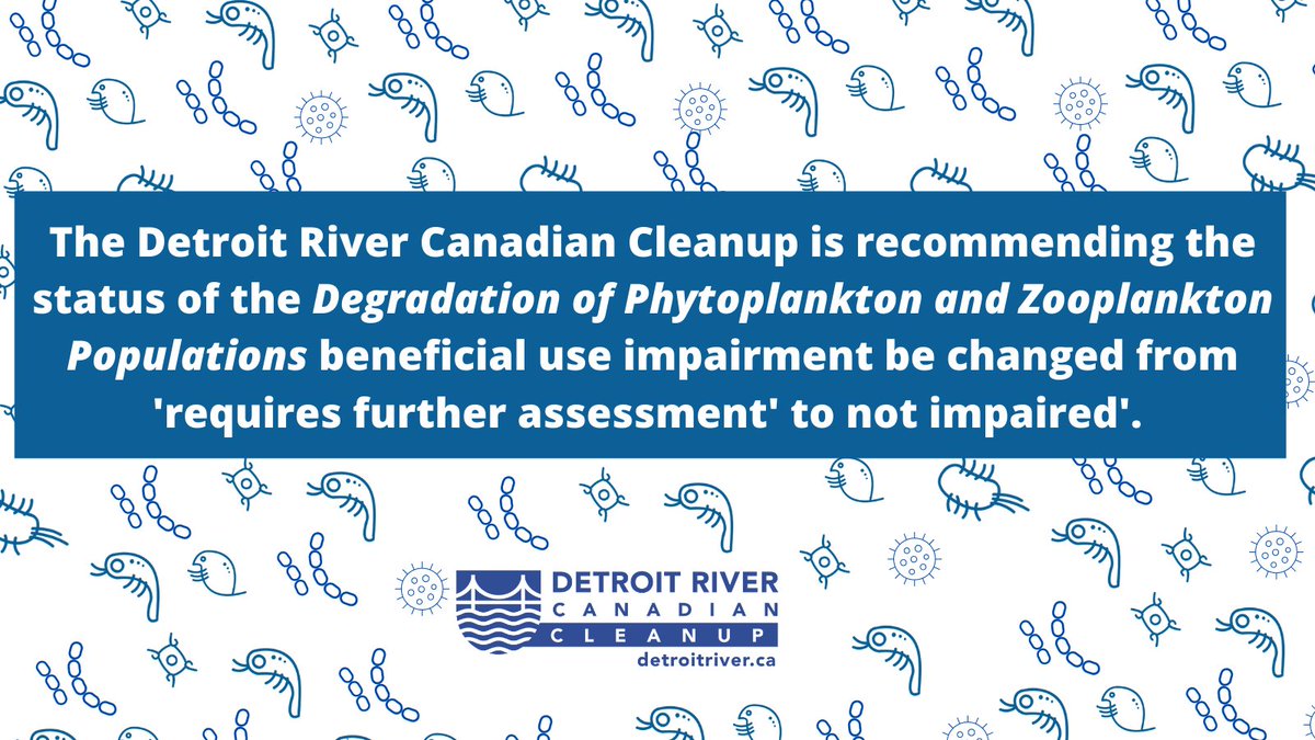 DetroitRiverRAP's tweet photo. Input Requested! The DRCC is looking for public input on our recommendation to change the status of the phytoplankton and zooplankton BUI in the Canadian #DetroitRiver to not impaired. 
@GreatLakes_GC @ONenvironment 

Learn more &amp; provide comments ➡️https://t.co/Qp3tGf4F84 https://t.co/74lr9yCyBz