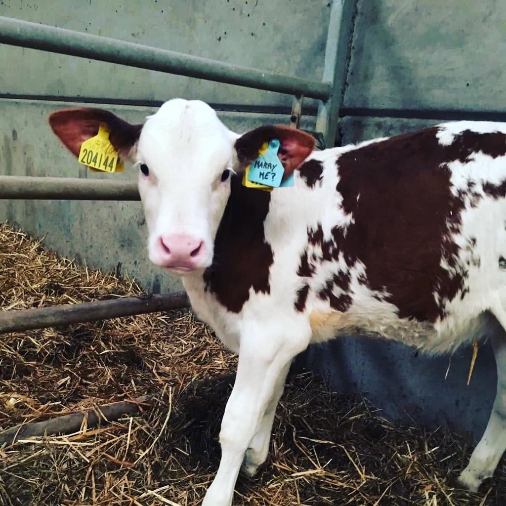 Matt Brookes tweet media