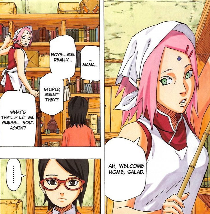 Sarada goes home and she starts to say to Sakura: "Mama... Boys are really stupid, aren't they?" Sakura says: "What's that? Let me guess... Boruto again?"It looks like Sarada always talk about Boruto with Sakura.  #SixYearsOfBoruSara
