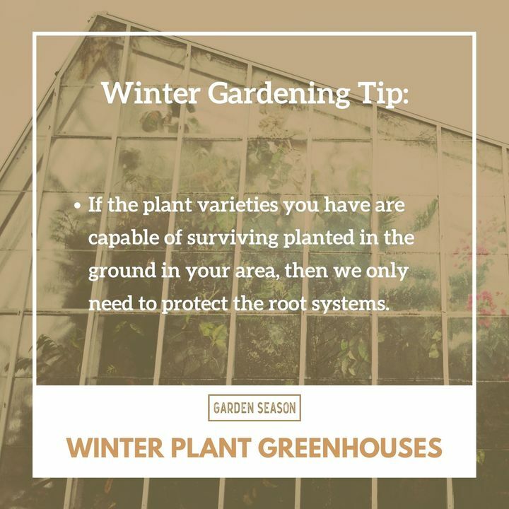 Roots are much less tolerant of cold than branches. The top of the plants would be exposed to very cold air and survive with no extra help. The roots would be planted in and protected by the soil.
bit.ly/winter-greenho…