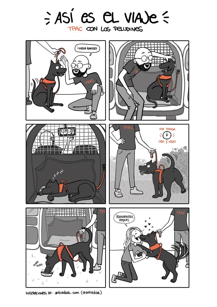 Gabriel Alberto tweet media