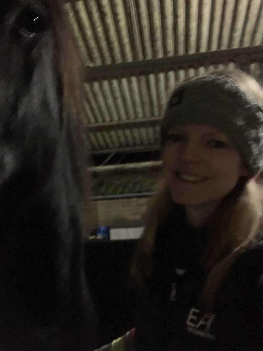 allisonsarah16's tweet photo. Horse love ❤️ https://t.co/XbFrqd8XIV