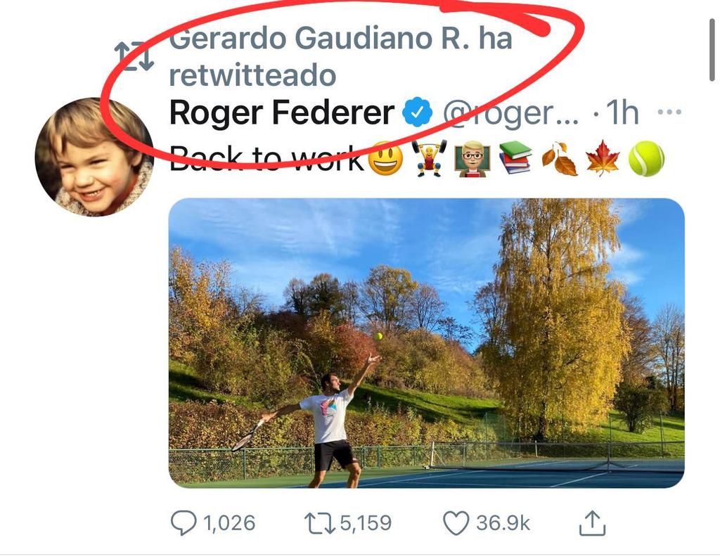 cosapublica's tweet photo. Como ven a #MiGerry?.. Mientras miles de tabasqueños estan en la zozobra por las inundaciones, el se preocupa por ¡ los entrenamientos de @rogerfederer.. La ventaja de tener millones del erario mi ¡ @gerardogaudiano https://t.co/t2Gnkh7Isa