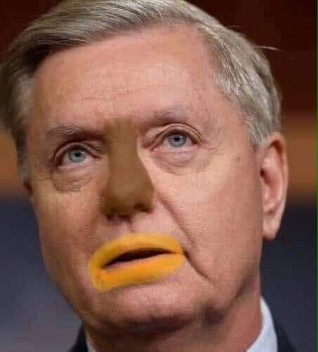 DerekIsTired's tweet photo. @JonSmyth01 @Infinty1001 @LindseyGrahamSC #LadybugGraham enjoyed every minute. https://t.co/Y3ufUX3ZKZ