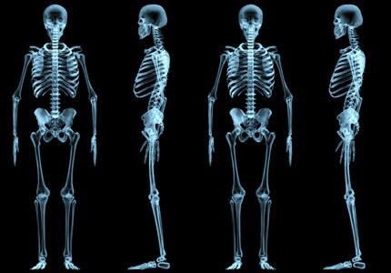 عندما نولد يكون عدد عظام جسمنا 300 عظمة منفصلة، وعندما نبدأ في النمو تبدأ هذه العظام في الالتحام مع بعضها البعض فيصبح عددها 206 عظمة فقط ..