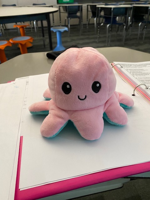 marionlovesmath's tweet photo. Meet our new virtual class pet, C.C. (short for Cotton Candy).  We all love her! #mavericksonamission @MarionMavericks https://t.co/uUmbWcziMT