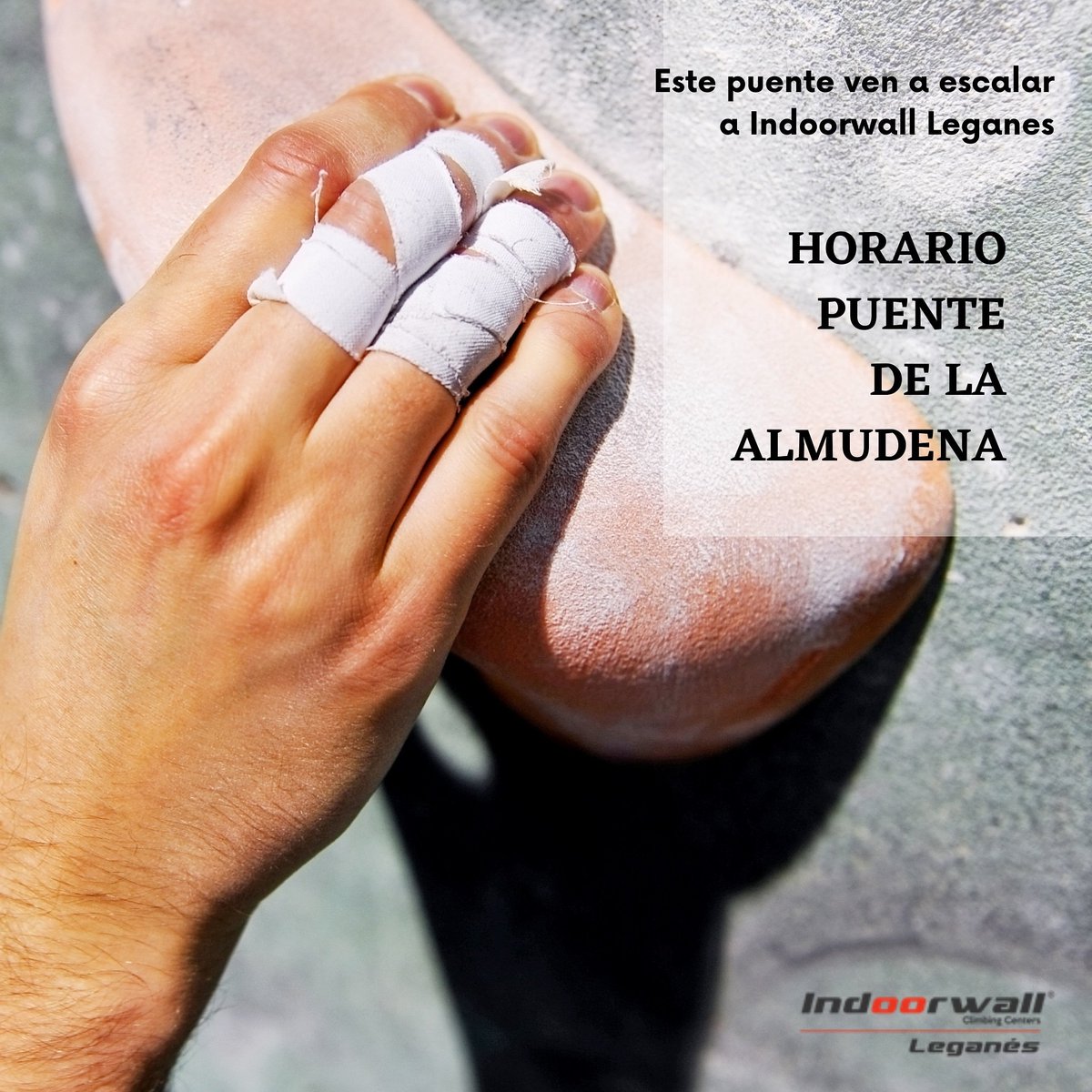 ¿Te subes por las paredes?
¡Pues ven al rocódromo!
- Vías con auto-aseguradores
- Bloques nuevos de todos los niveles
¡Y nueva carta en nuestro restaurante!

HORARIO PUENTE DE LA ALMUDENA:
- Sábado de 10:00 a 22:00
- Domingo de 10:00 a 19:30
- Lunes de 10:00 a 22:00