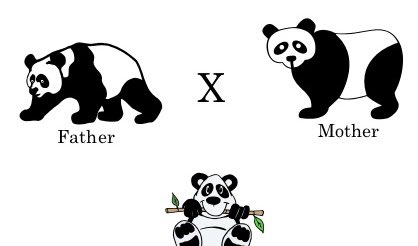AlixLeslie1's tweet photo. Biological species concept: members of a population are considered to be the same species if they can interbreed and produce fertile offspring ⁦⁦@OxyEvo⁩ https://t.co/xcDDAPpf1K