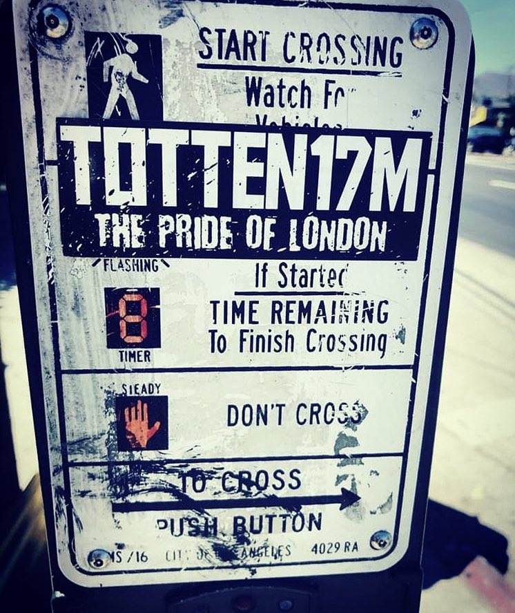 yiddostickers's tweet image. Get your Stickers here ..... ow.ly/Vzp5309neus.  #yidarmy #thfc