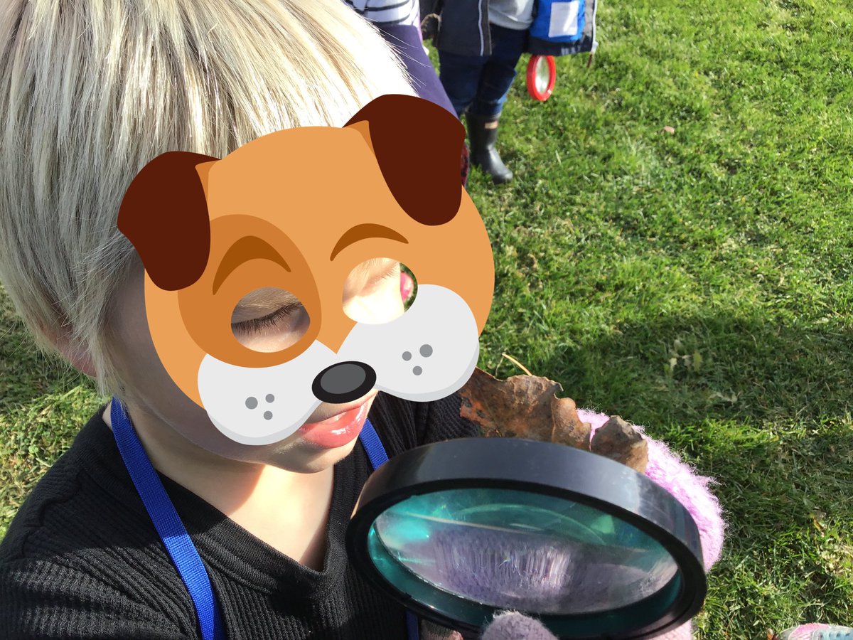 MAPSLearningCommons tweet media