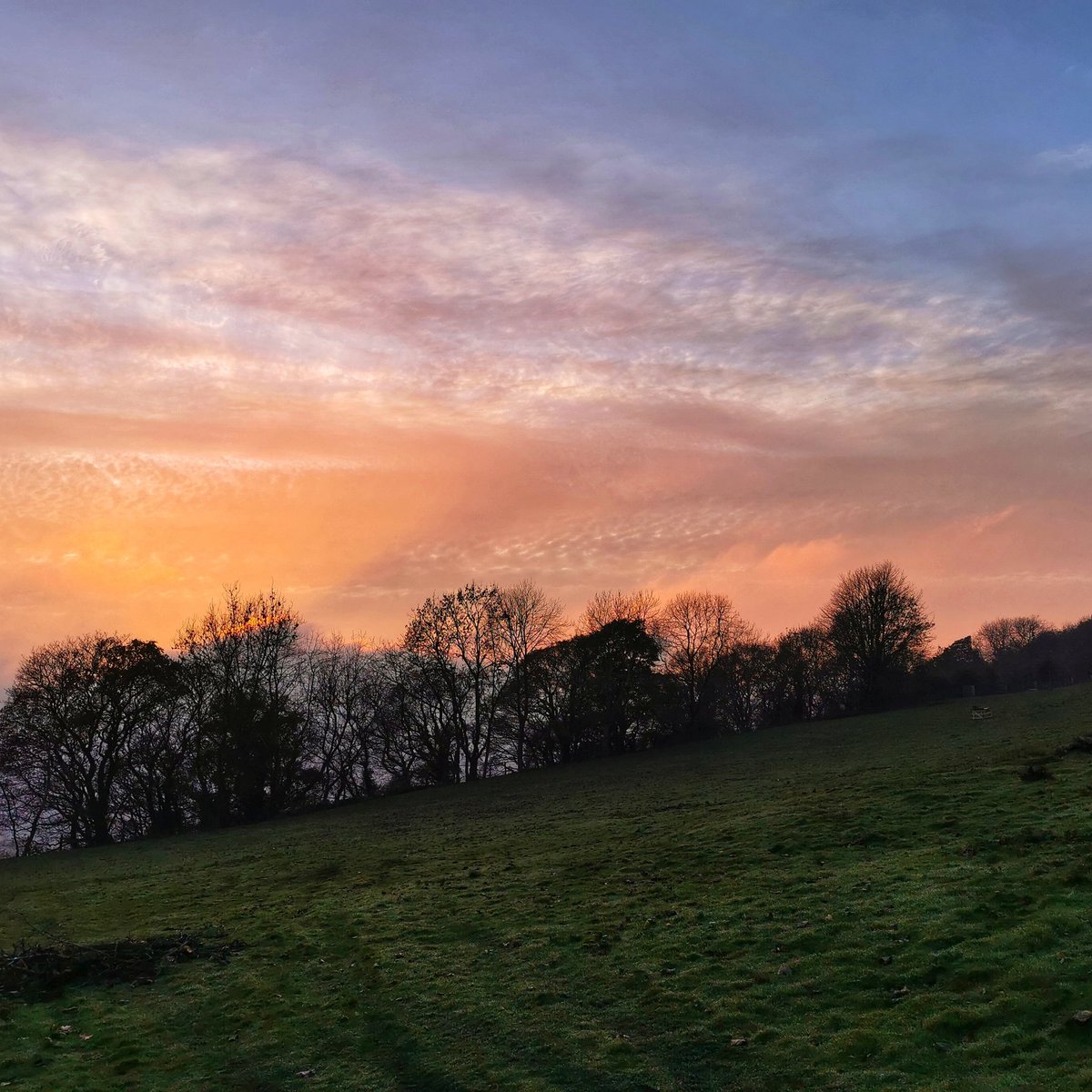mistytinkle's tweet photo. Sunset in Wensleydale lockdown 2020 so lucky where I live #wensleydale #yorkshiredales #prestonunderscar #sunset_pics #sunsetlover #sunsetphotography #sunsetsaroundtheworld https://t.co/445FtL705F